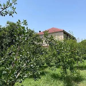 Accommodatie bij particulieren Mance, Berat